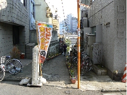 P1050856.JPG